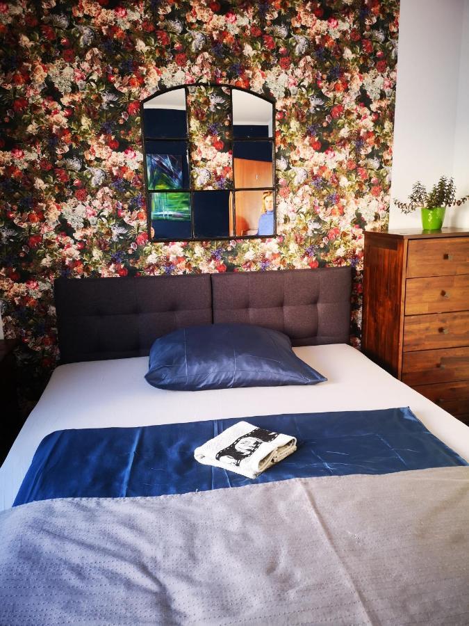 Hostel Mazurska 8A أولشتين المظهر الخارجي الصورة