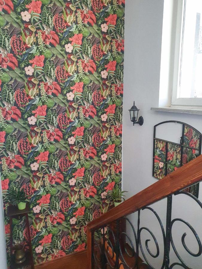 Hostel Mazurska 8A أولشتين المظهر الخارجي الصورة